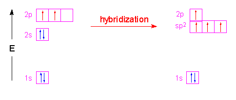 Hybridization