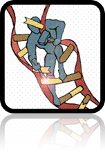 DNA-photocleaver.gif