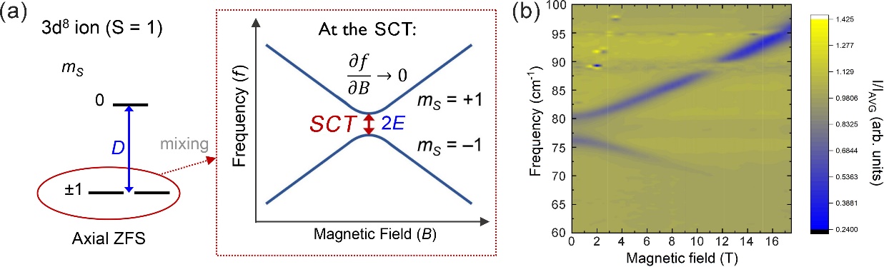 Diagram of a spin clock transition in an S = 1 ion and far-infrared magneto-spectroscopy data