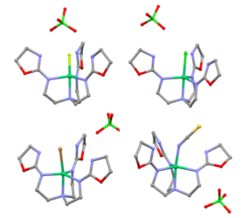 Molecular structures of the four Ni(TAO)X complexes studied by Rachel Perez