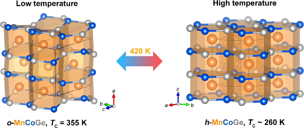 Orthorhombic and hexagonal polymorphs of MnCoGe