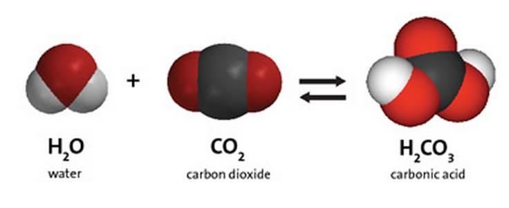 Carbonic Acid Production