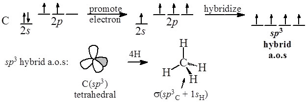 Hybridization Chart Chemistry