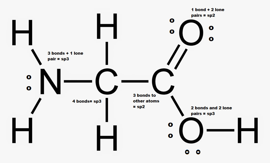 Answer to Hybridization Question