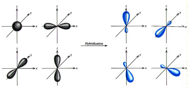 Hybridization process