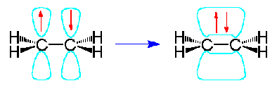 Double bond