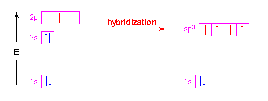 Hybridization