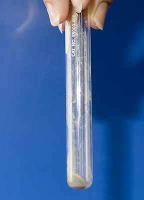 Remove the Supernatent