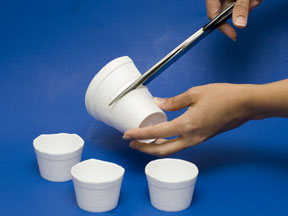 Styrofoam Cups