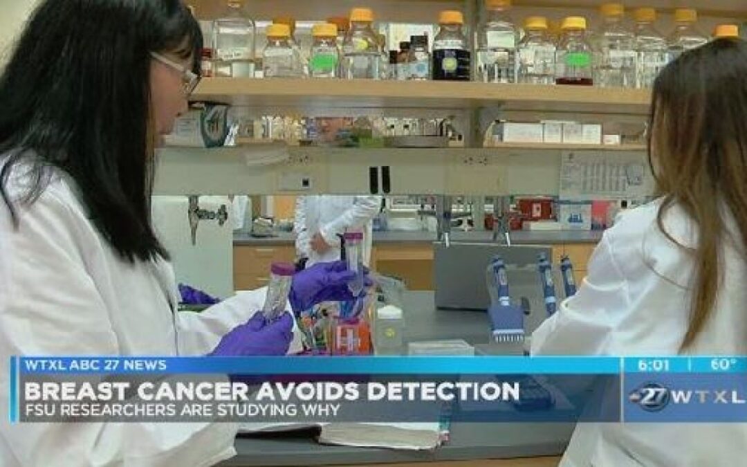 FSU researchers studying why breast cancer avoids detection