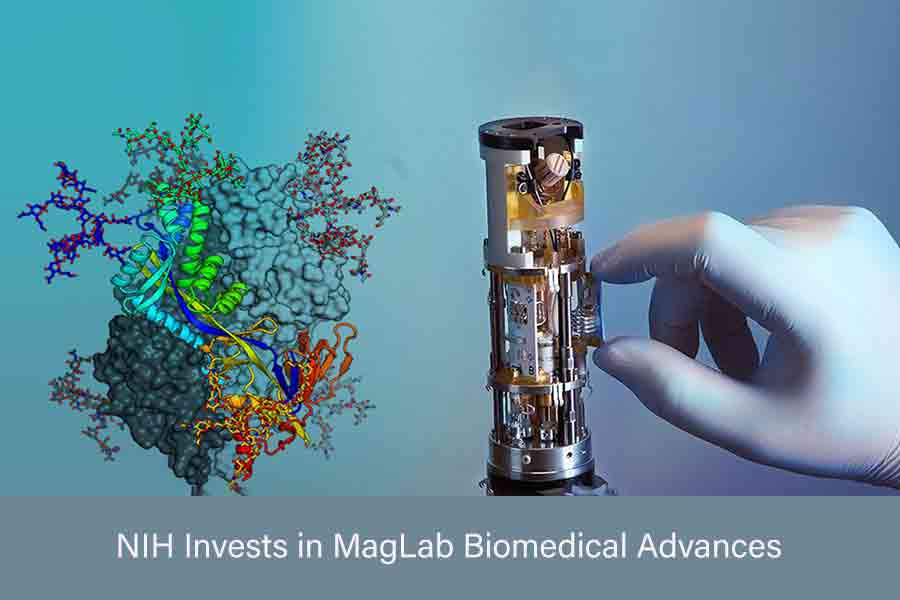 NIH invests $5M in MagLab biomedical advances