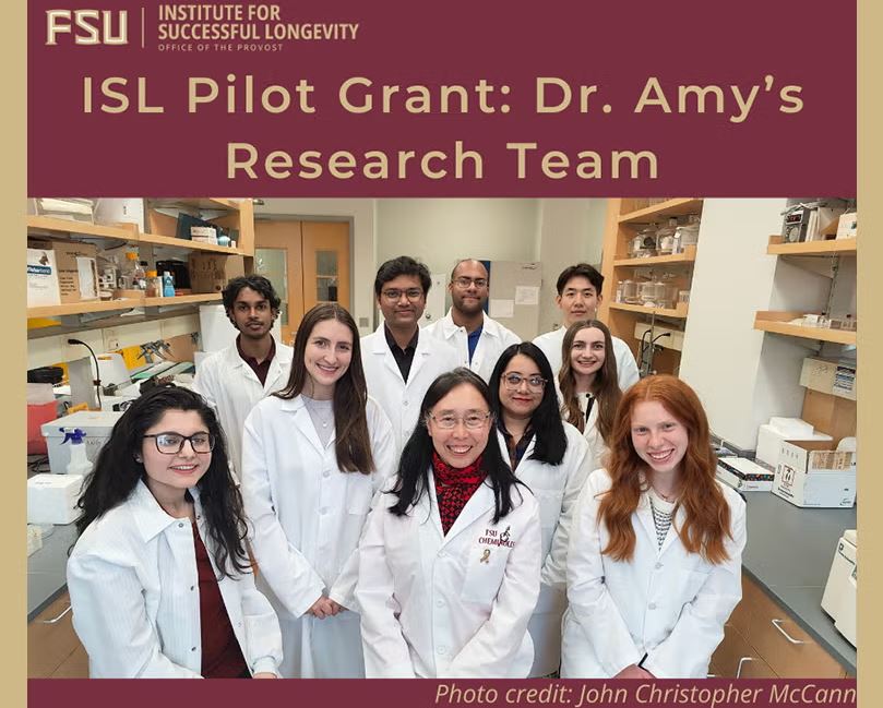 ISL Pilot Grant Spotlight: Investigating the Effects of Microplastics on Human Neural Stem Cell Aging