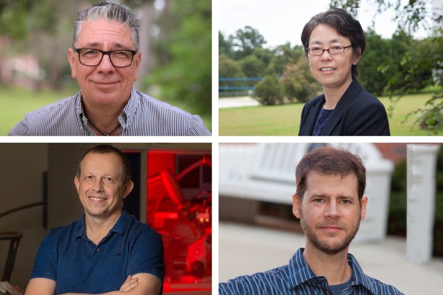 FSU names Dr. Michael Shatruk as one of four Distinguished Research Professors