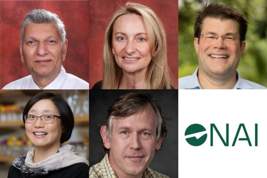 Two FSU chemistry professors named National Academy of Inventors Senior members