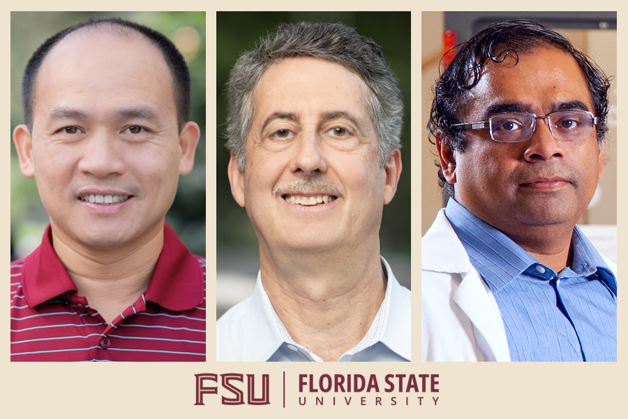 FSU researchers develop more durable materials for radiation detection and imaging