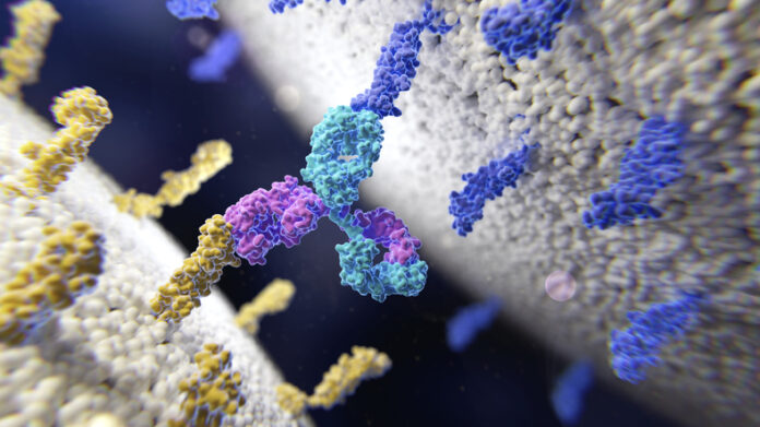 Research from the Bleiholder group is highlighted in Genetic Engineering & Biotechnology News