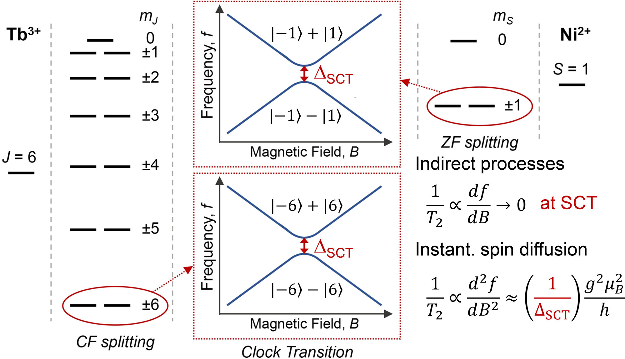 Examples of spin clock transitions in Tb3+ and Ni2+ complexes