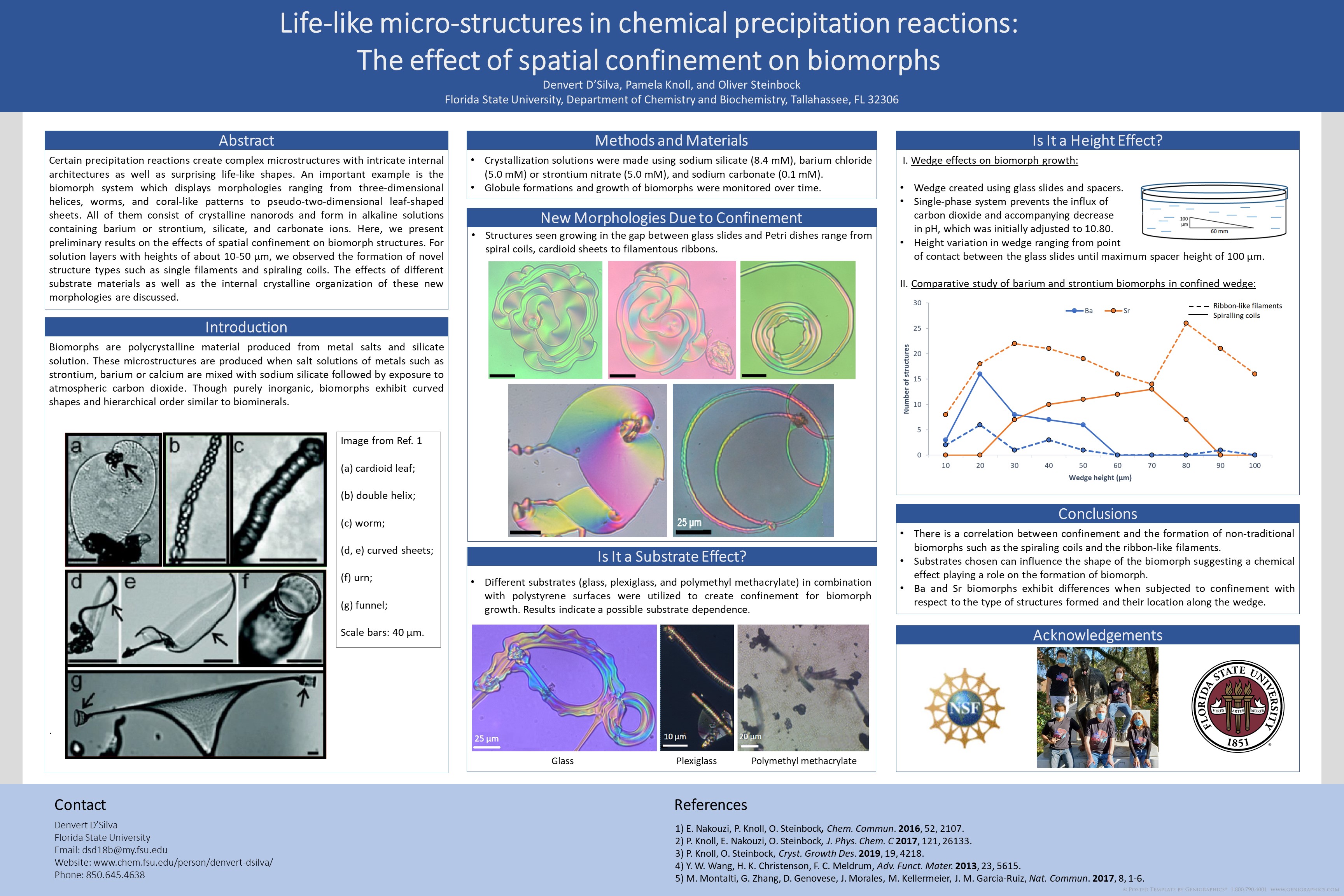 Poster (Author: Denvert D'Silva)