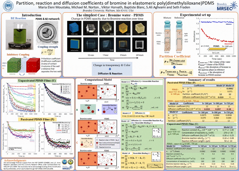 Poster (Author: Maria Eleni Moustaka)