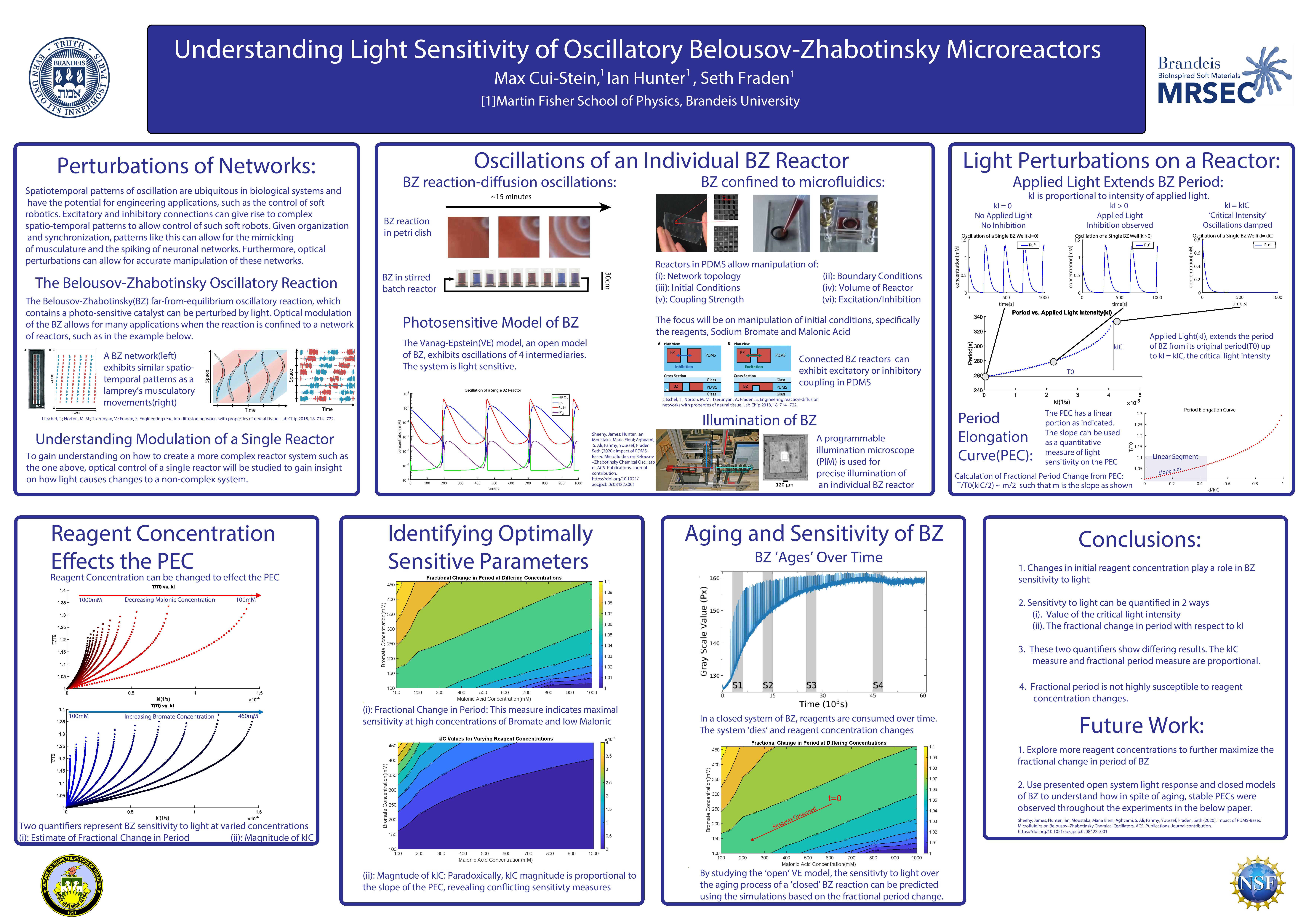 Poster (Author: Max Cui-Stein)