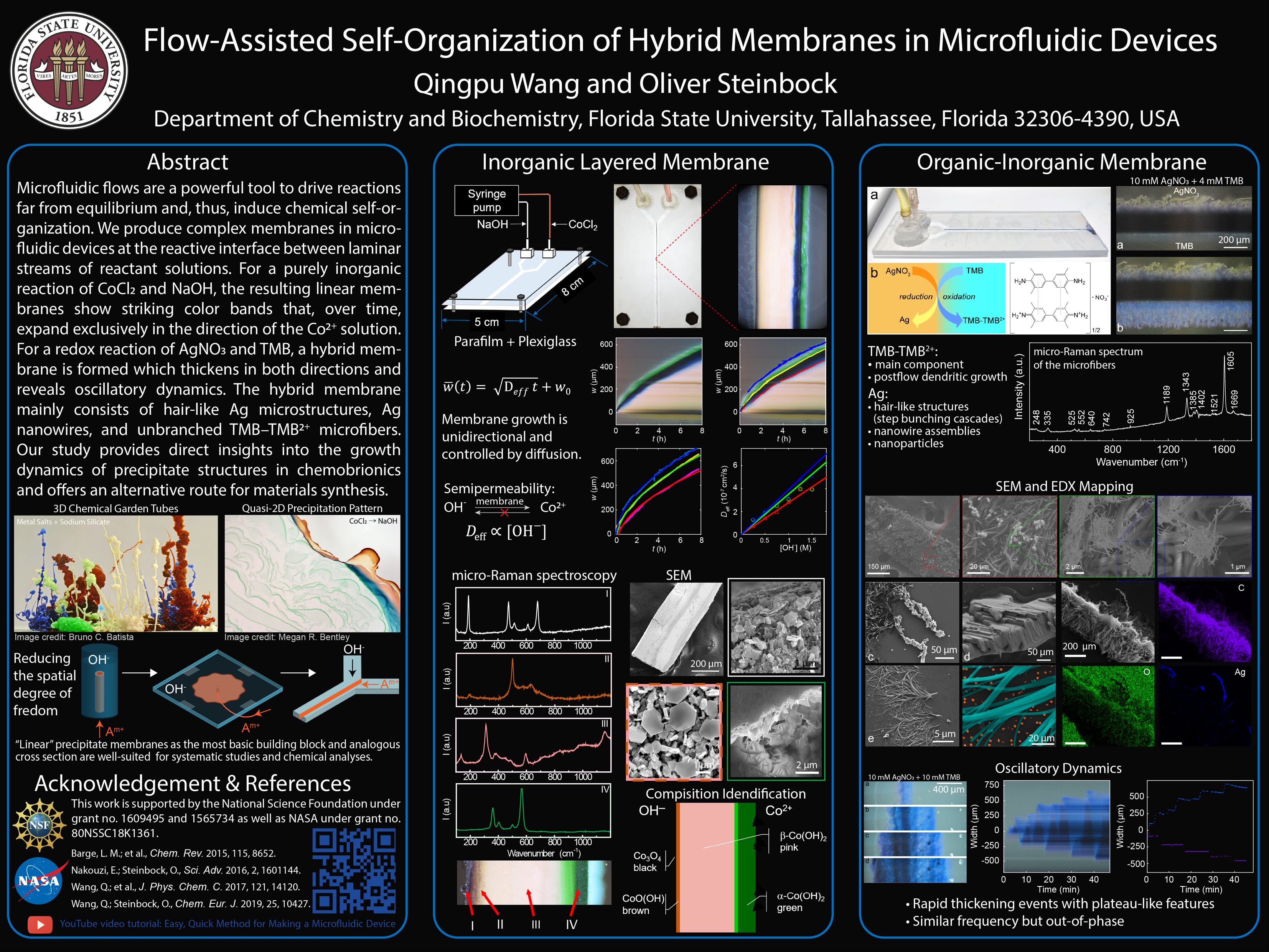 Poster (Author: Qingpu Wang)