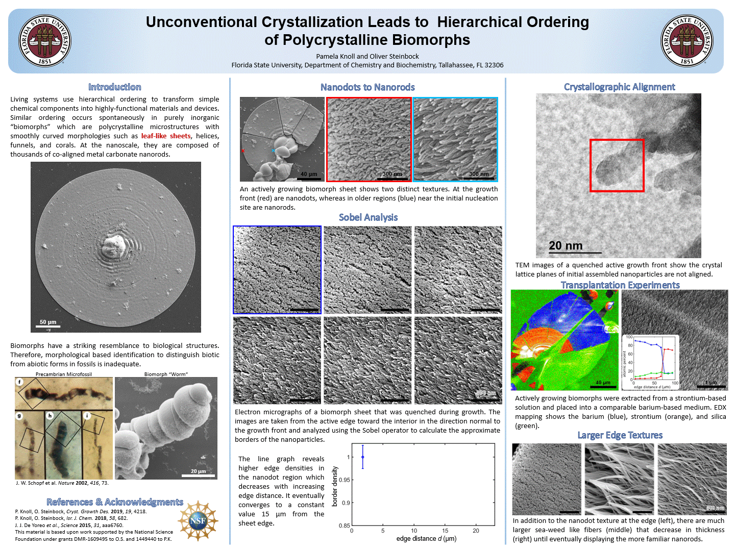 Sample Poster (Author: Pamela Knoll)