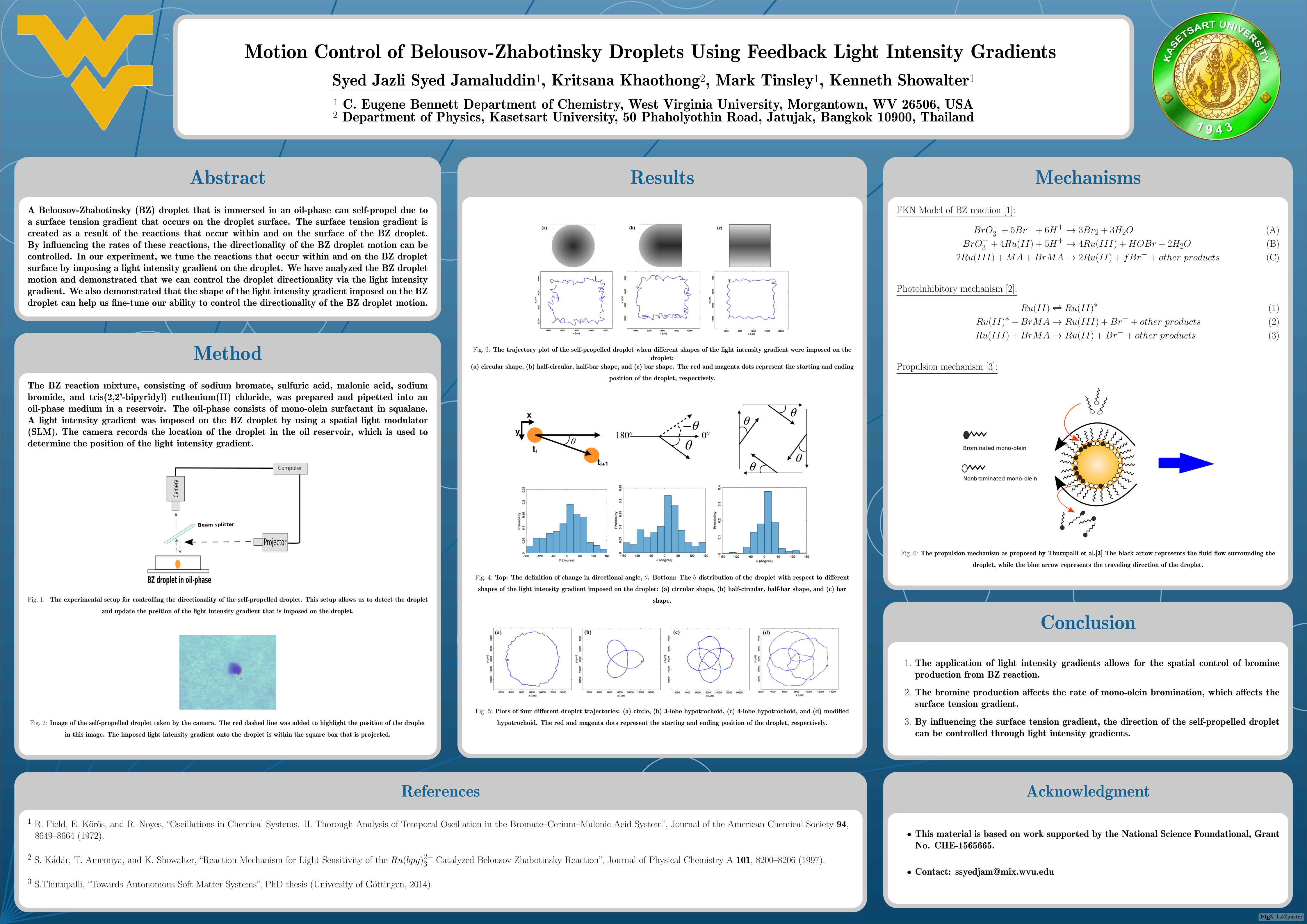 Poster (Author: Syed Jamaluddin)